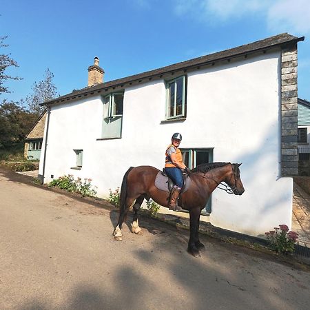 Granary At Trewerry Cottages - Away From It All, Close To Everywhere Ньюки Экстерьер фото